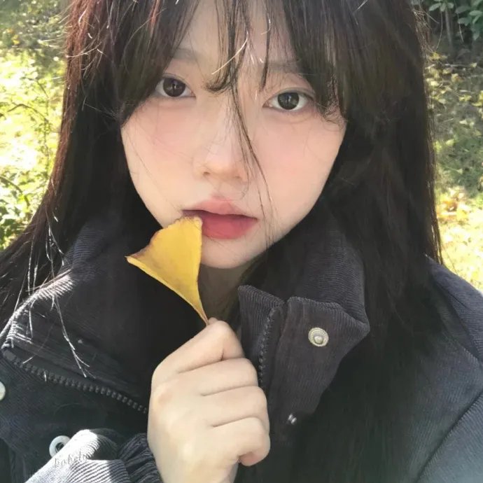 豪姬